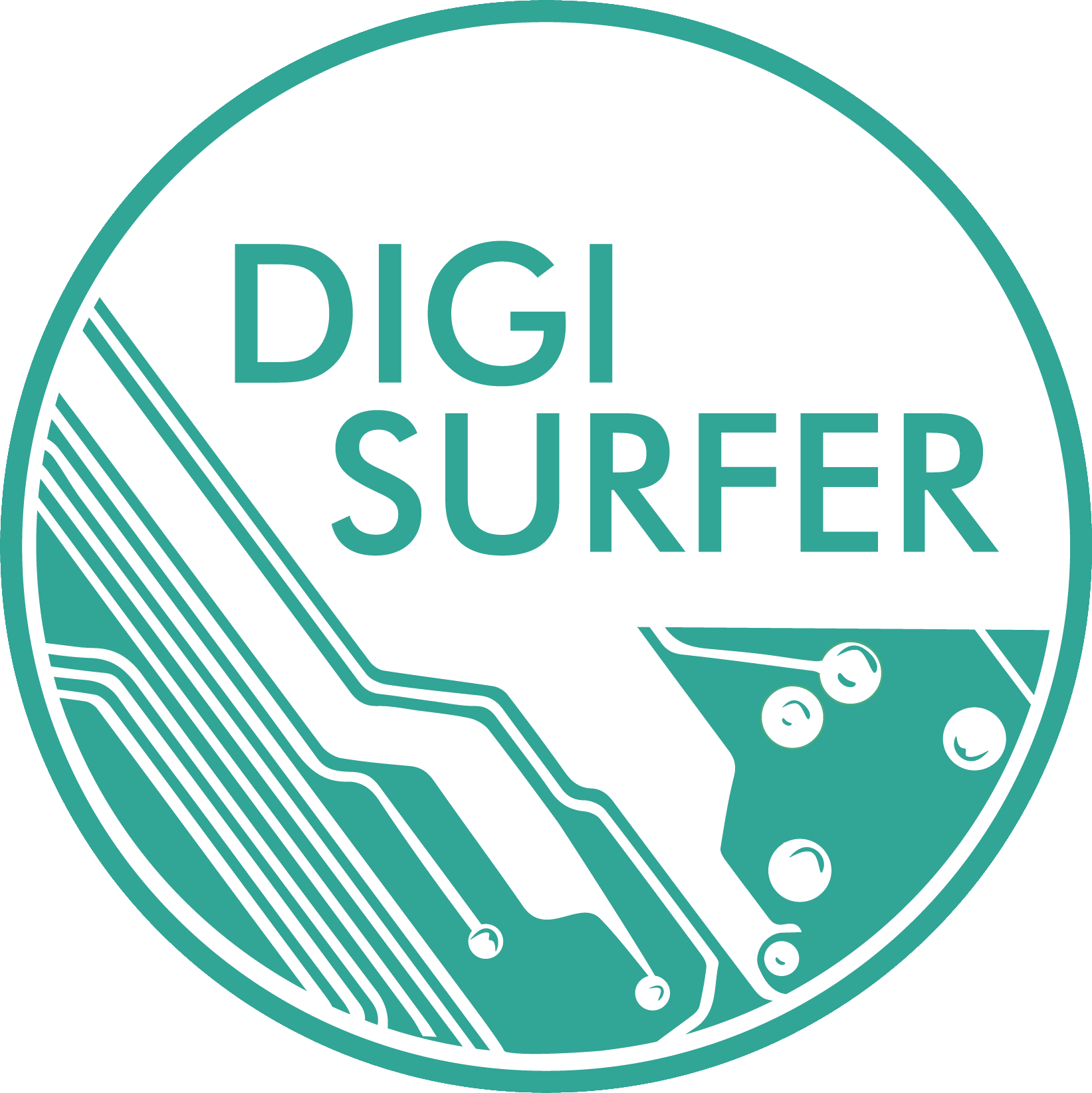 Digi Surfer Logo